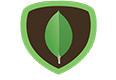 MongoDB